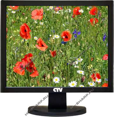 DS-170PQ, CTV 17” бюджетный монитор для систем видеонаблюдения 