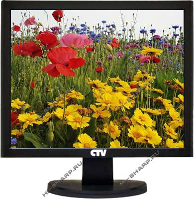 DS-190PQ, CTV 19” малобюджетный, профессиональный монитор для видеонаблюдения